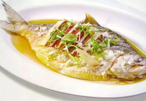 娱乐吃瓜酱养鱼,揭秘网红养鱼背后的趣味生活