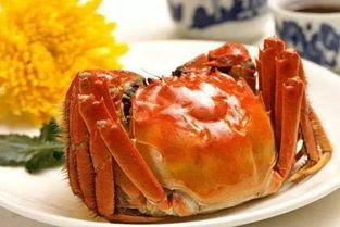 娱乐吃瓜君大闸蟹,大闸蟹背后的故事与魅力