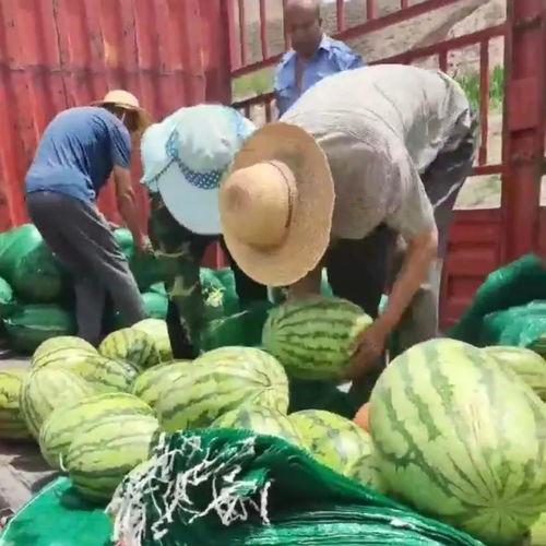 吃瓜网每日大赛聚集地,每日大赛聚集地，精彩赛事一网打尽！